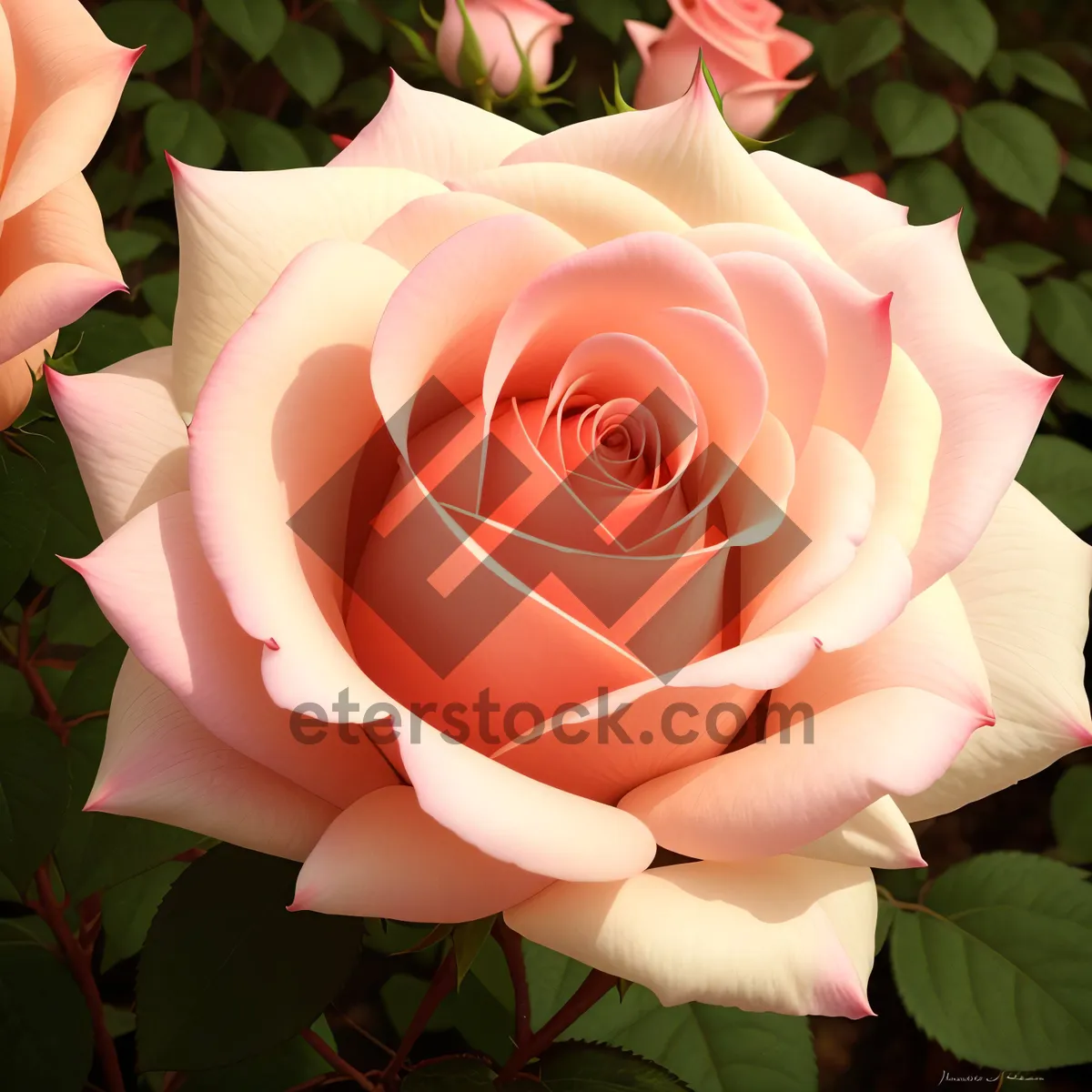 Picture of Blooming Rose Bouquet: Romantic Floral Gift for Weddings