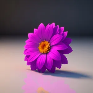 Vibrant Floral Magic: Yellow Sunflower Blooming in the Garden