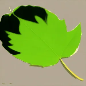 Yellow Maple Leaf Balloon Soaring Above Ground