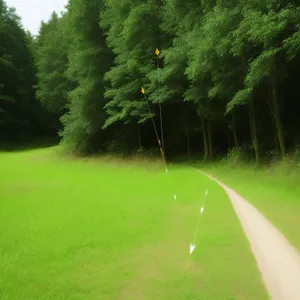 Sky-high Golf Fun on Sprinkler-Dressed Fairway