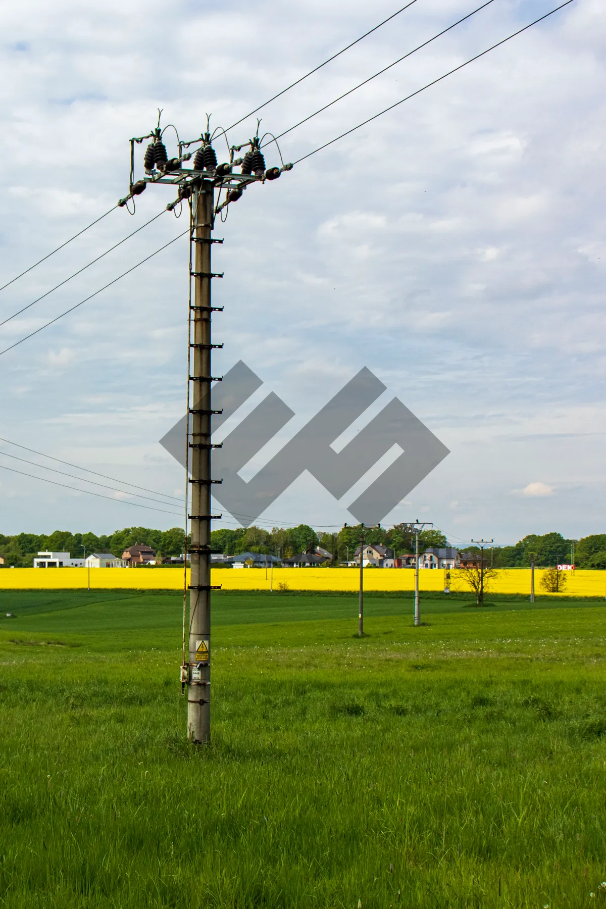 Picture of High Voltage Tower in Industrial Landscape with Rapeseed Field