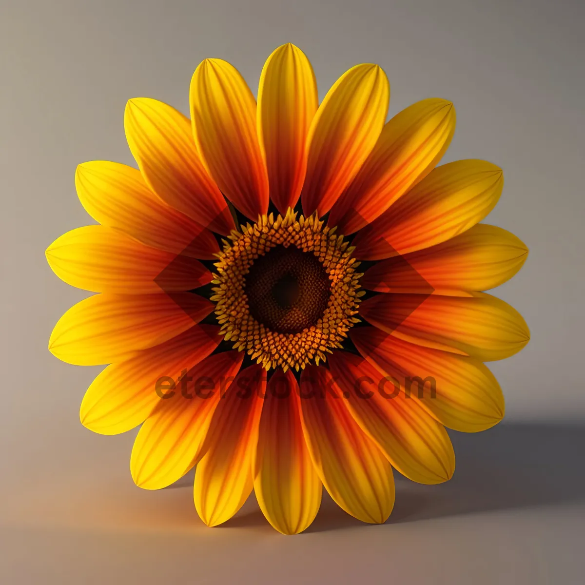 Picture of Vibrant Sunflower Blooming in Summer Garden