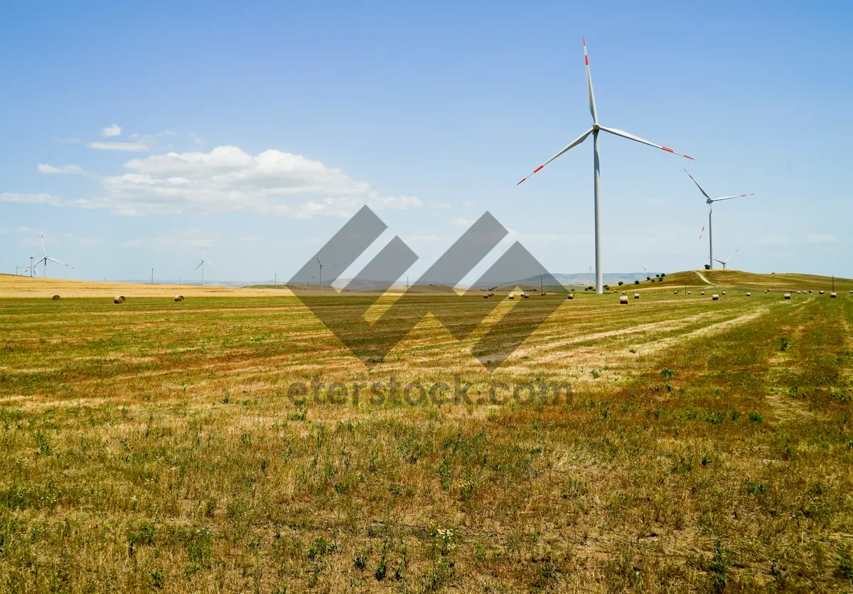 Picture of Renewable Energy Wind Farm Landscape Under Summer Sky