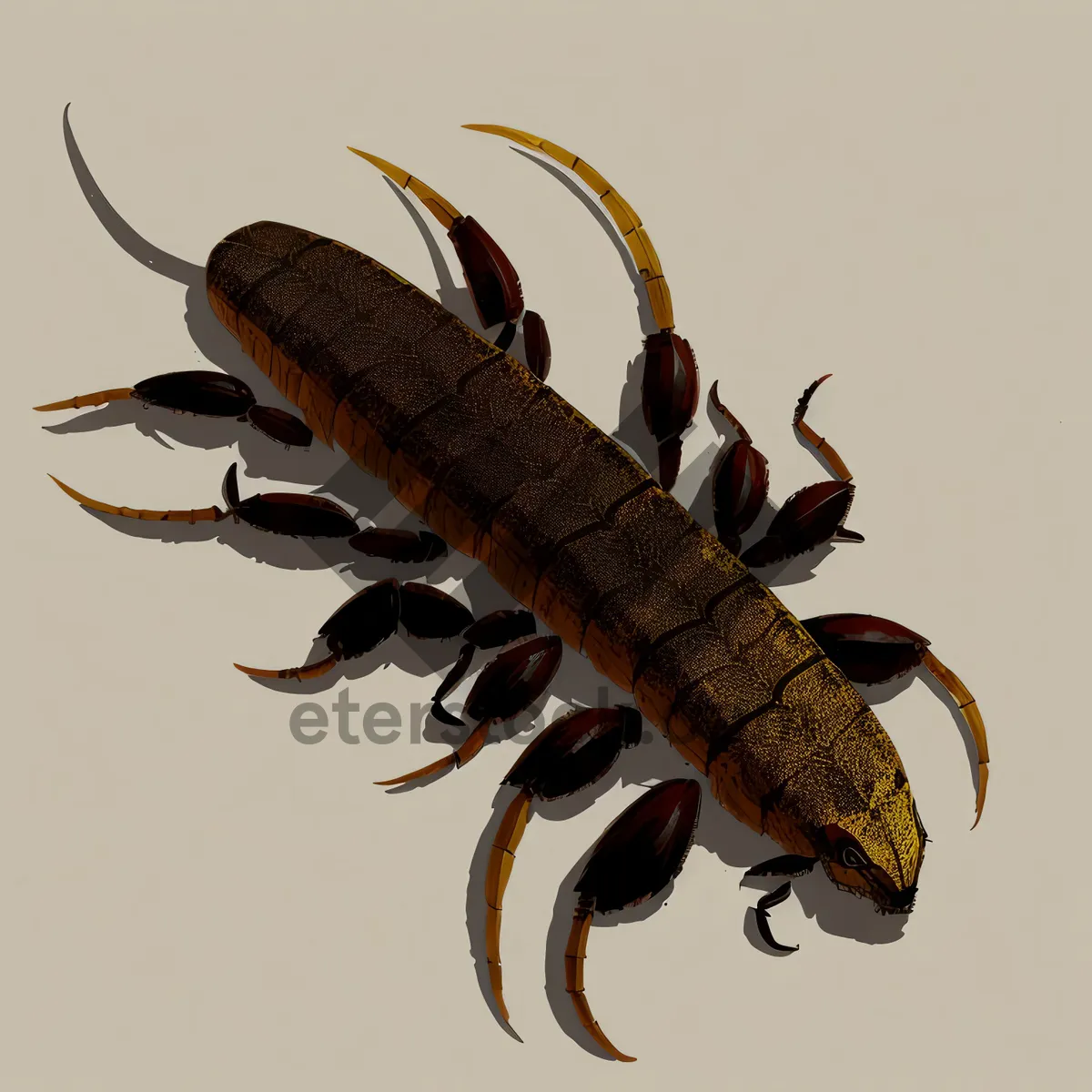 Picture of Crawling Crustacean with Claw and Antenna