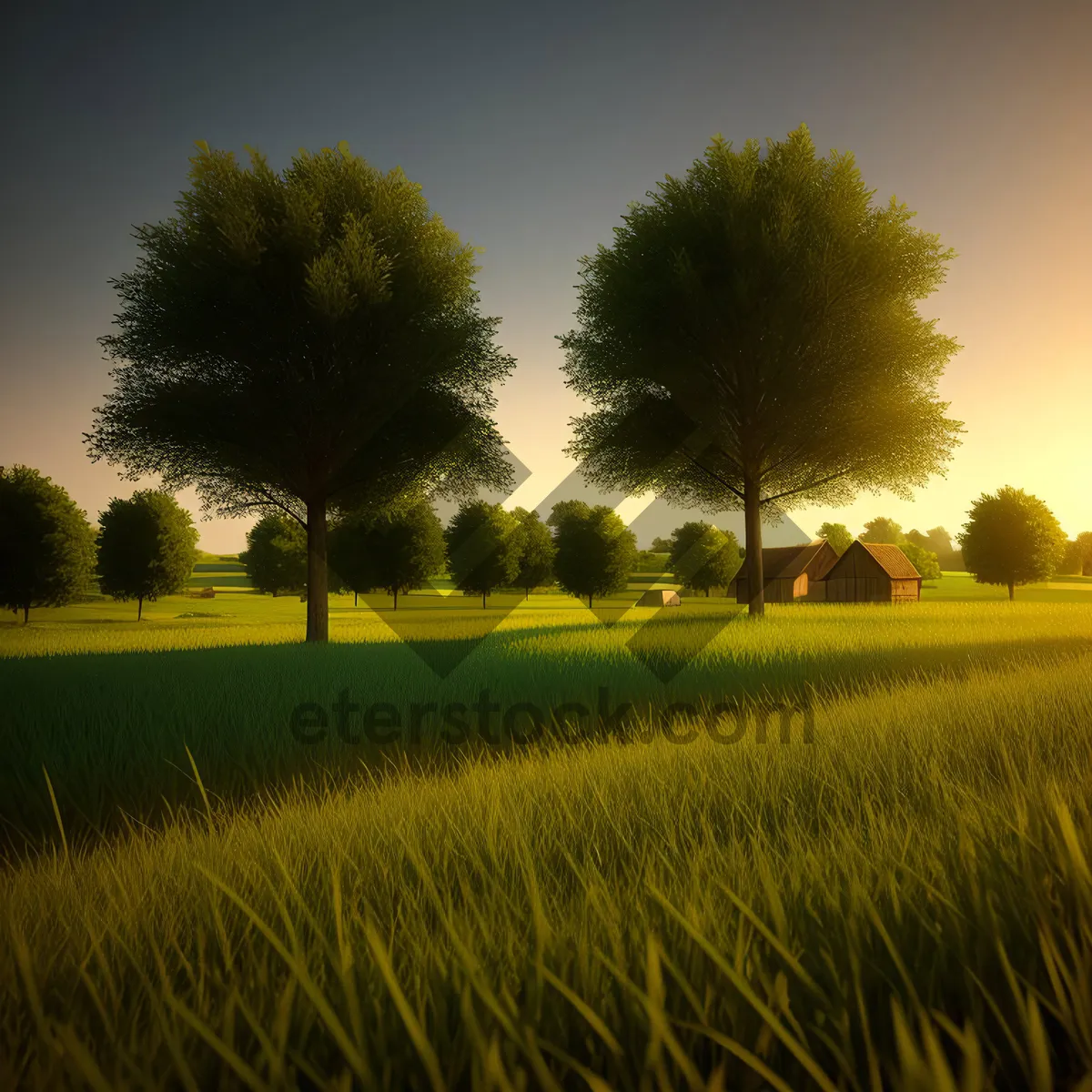 Picture of Golden Canopy: Vibrant Rapeseed Field in Rural Landscape