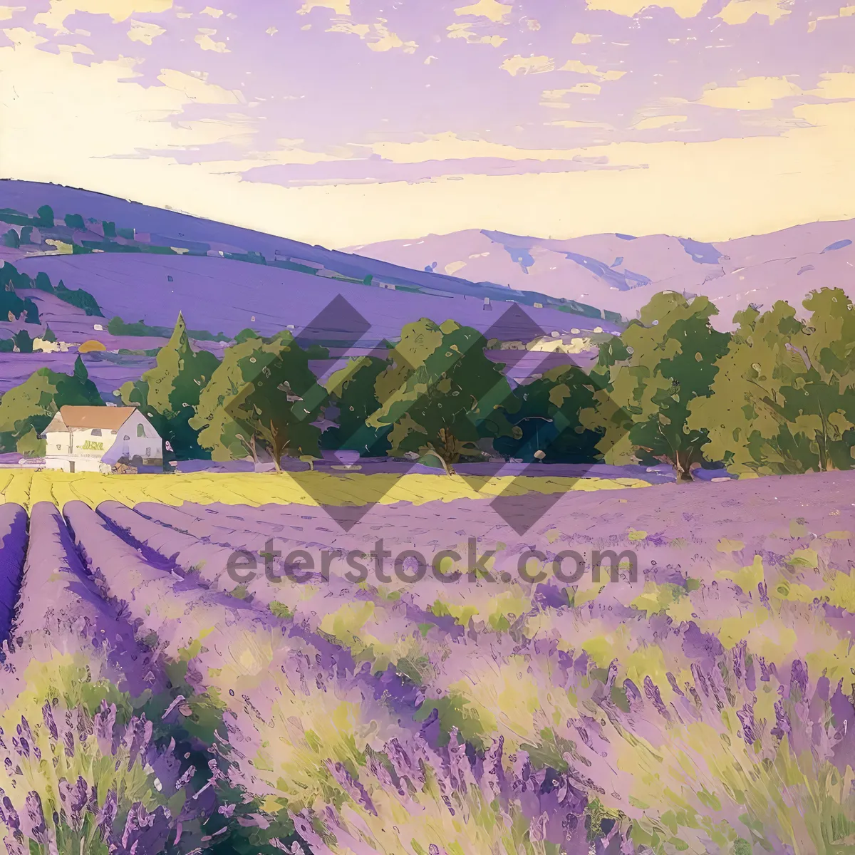 Picture of Majestic Lavender Fields Under Sunny Sky