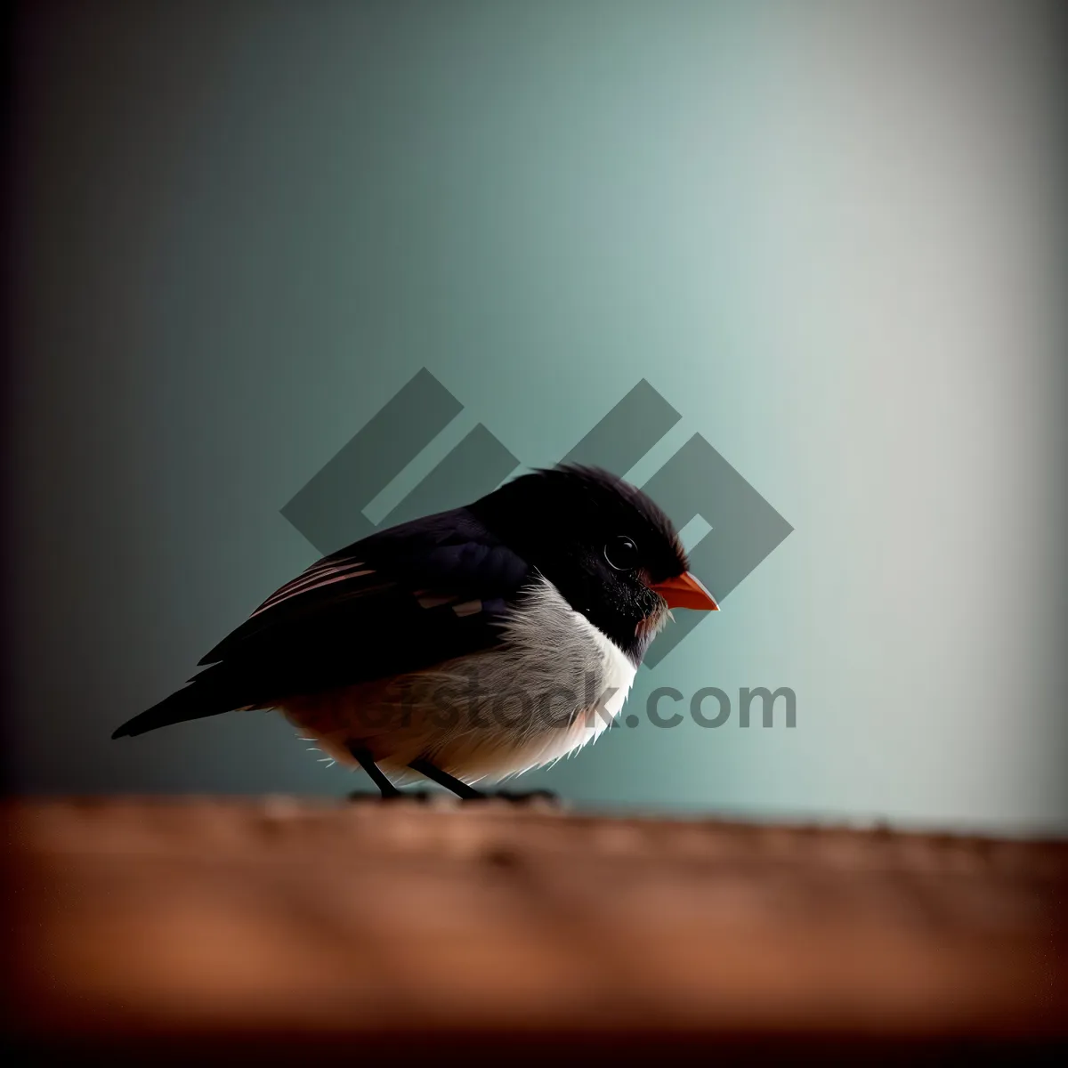 Picture of Chirpy Finch Sitting on Branch in a Winter Garden