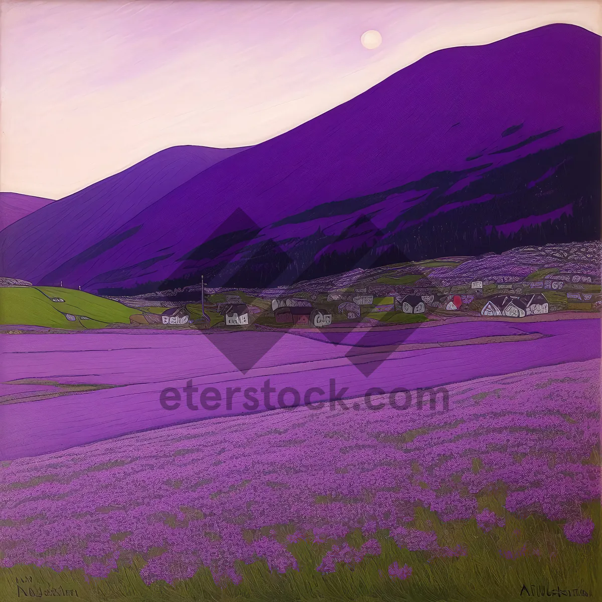 Picture of Colorful Moss Pink Phlox in Vibrant Landscape