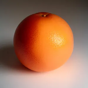 Refreshing Citrus Burst: Juicy, Ripe Orange Delight
