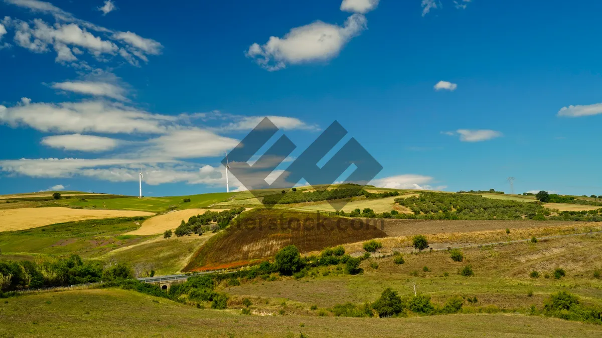 Picture of Summer Mountain Landscape with Farm in the Countryside