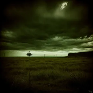 Golden Horizon: Sunlit Landscape Meets Vast, Cloudy Sky