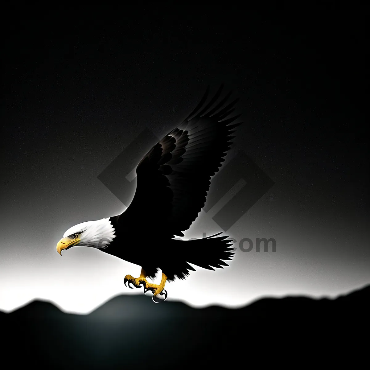 Picture of Majestic Bald Eagle Soars through the Sky