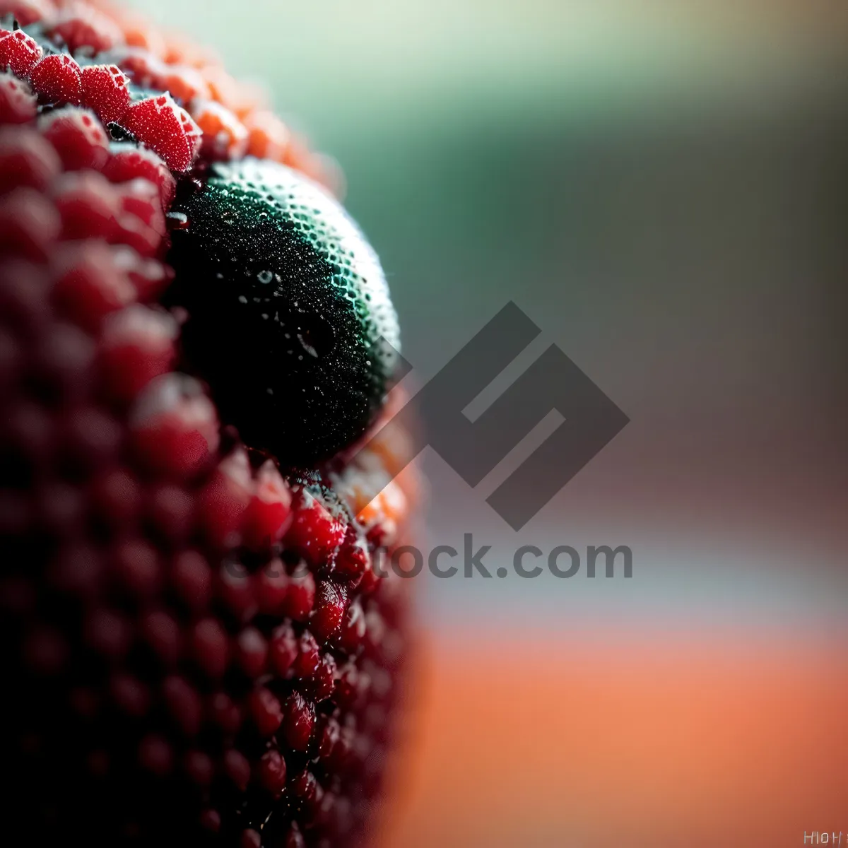 Picture of Assorted Juicy Berries: Blackberry, Raspberry, and Strawberry