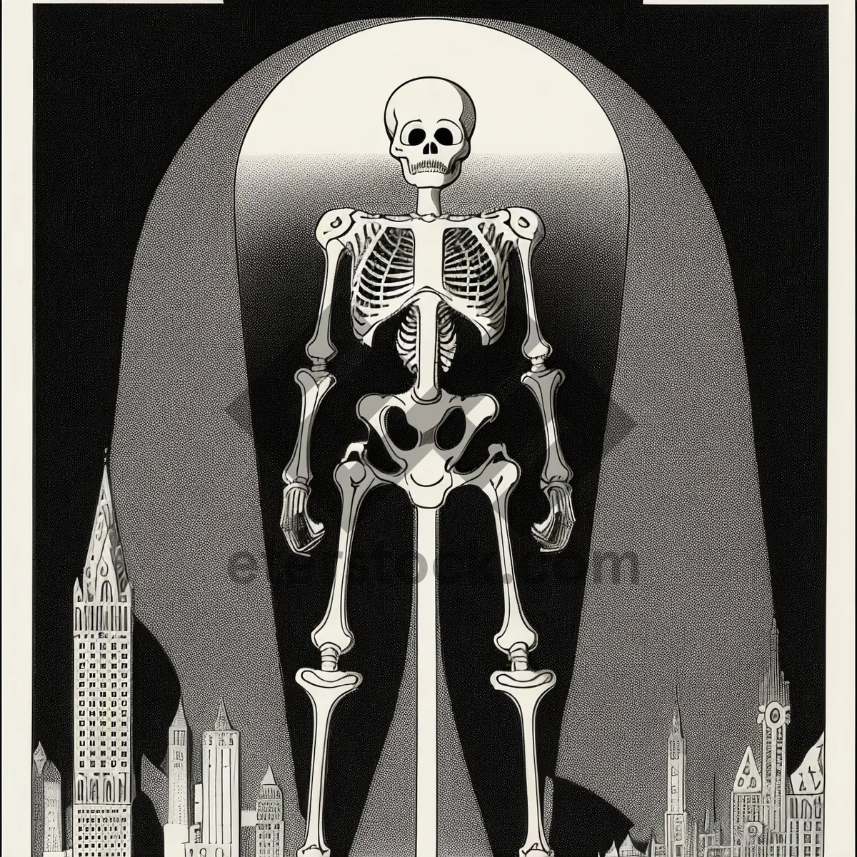 Picture of Human Skull Anatomy - Medical Science Bones