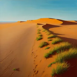 Sun-kissed Moroccan Desert Dunes