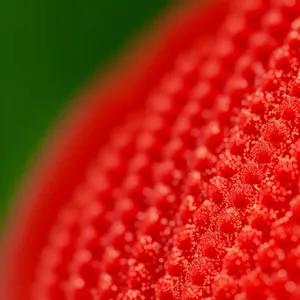 Juicy Red Berry Delight with Fresh Leaves