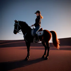Black Stallion Harnessing Speed - Equestrian Sport
