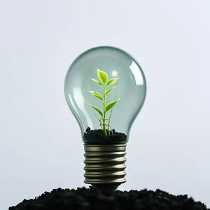 Innovative Energy-saving Lamp Powered by Plant