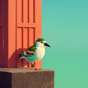 Graceful Seagull in Flight