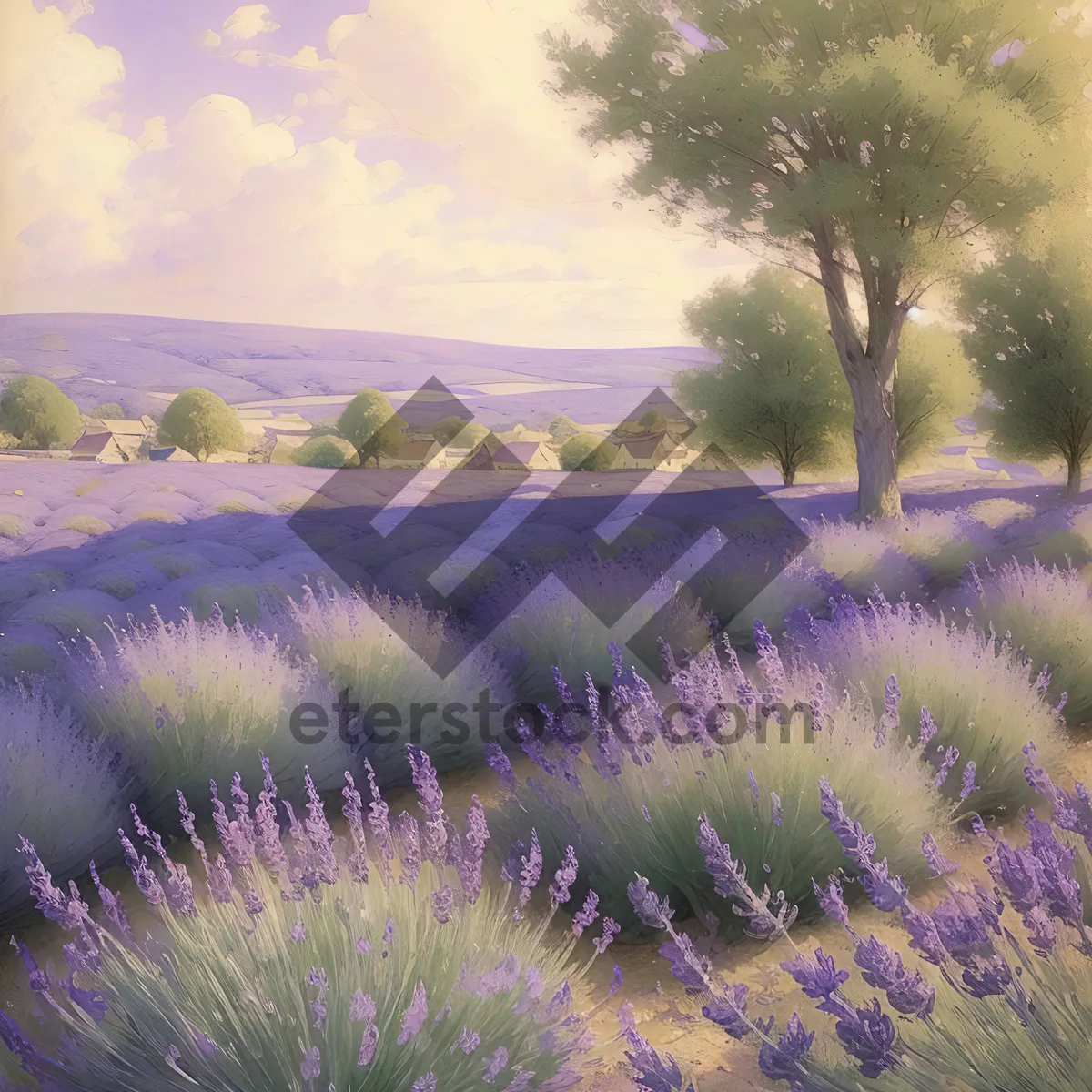 Picture of Lavender Field with Fiery Sky and Woody Plants