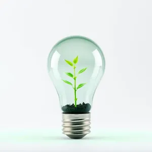 Light Bulb of Innovation: Bright Idea