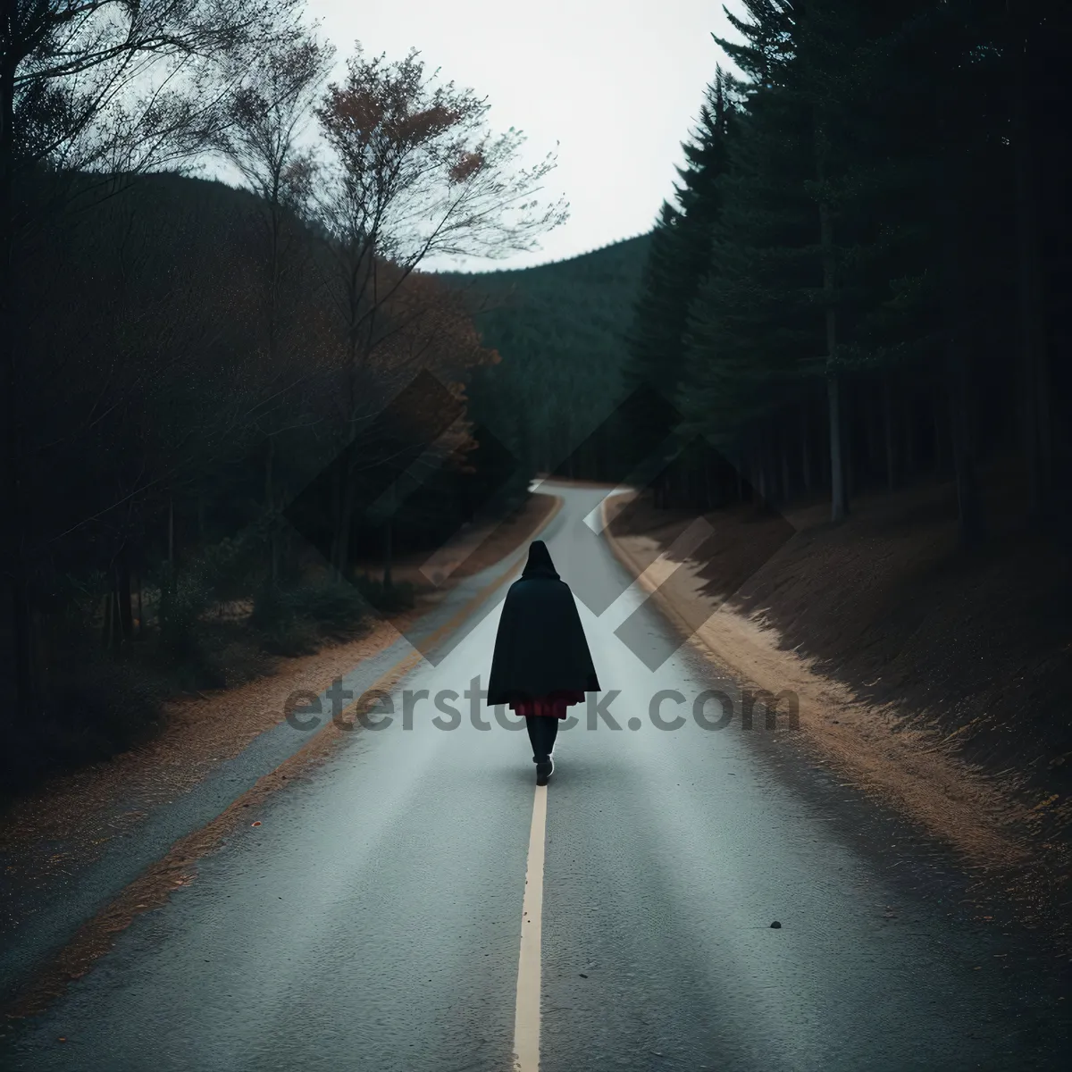 Picture of Scenic Highway through Tree-Lined Countryside