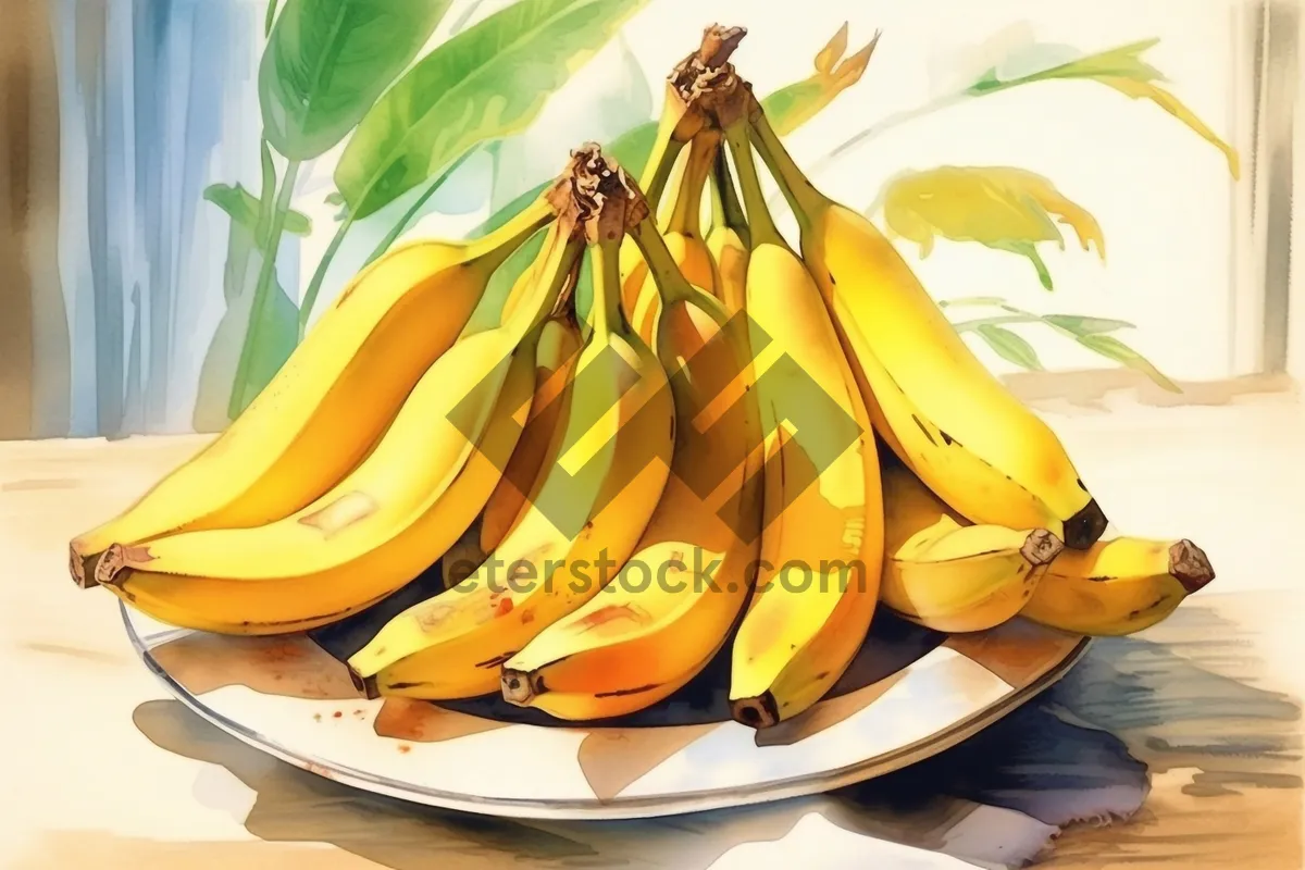 Picture of Fresh and Healthy Banana Bunch Snack