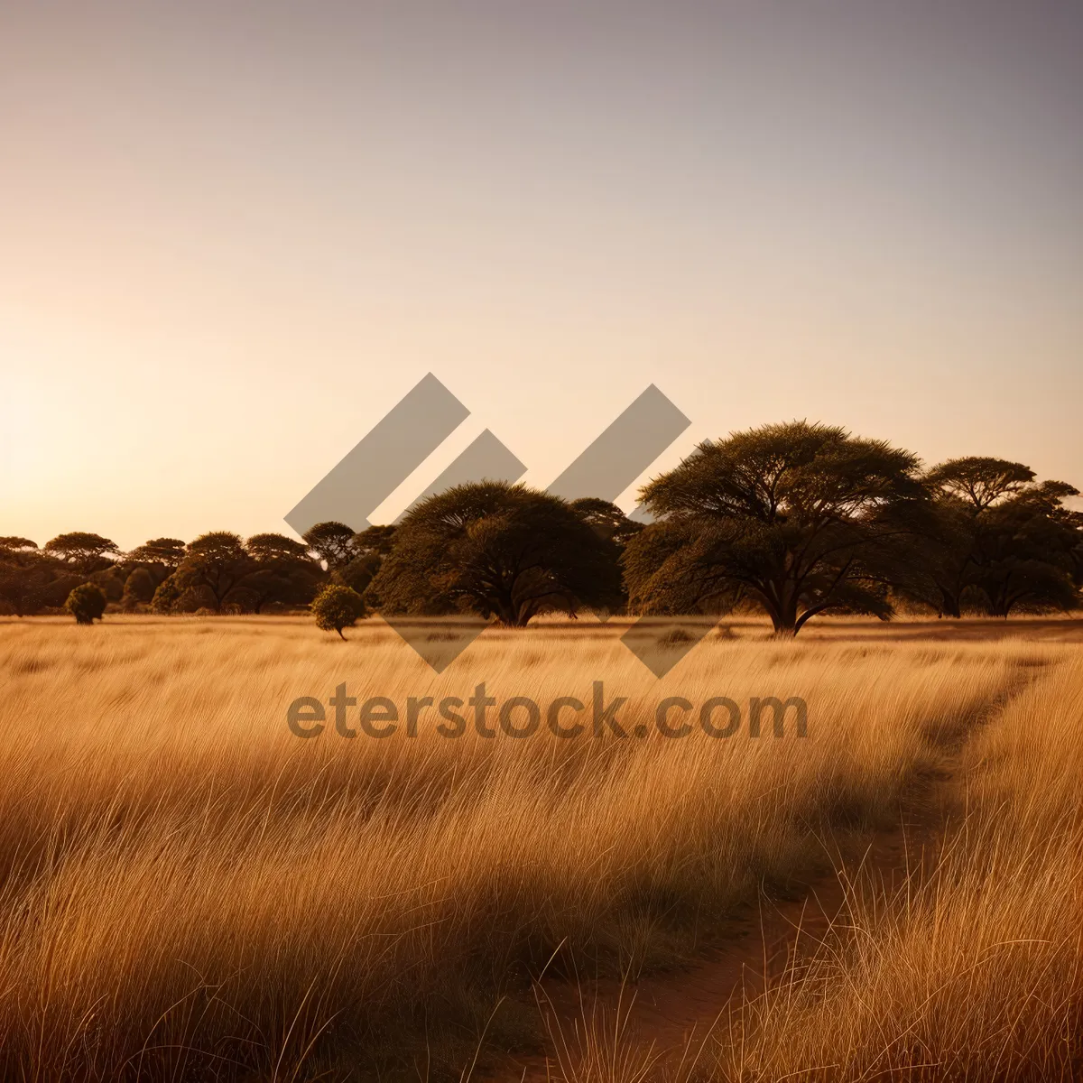 Picture of Vibrant Rural Landscape with Hay Fields and Tree