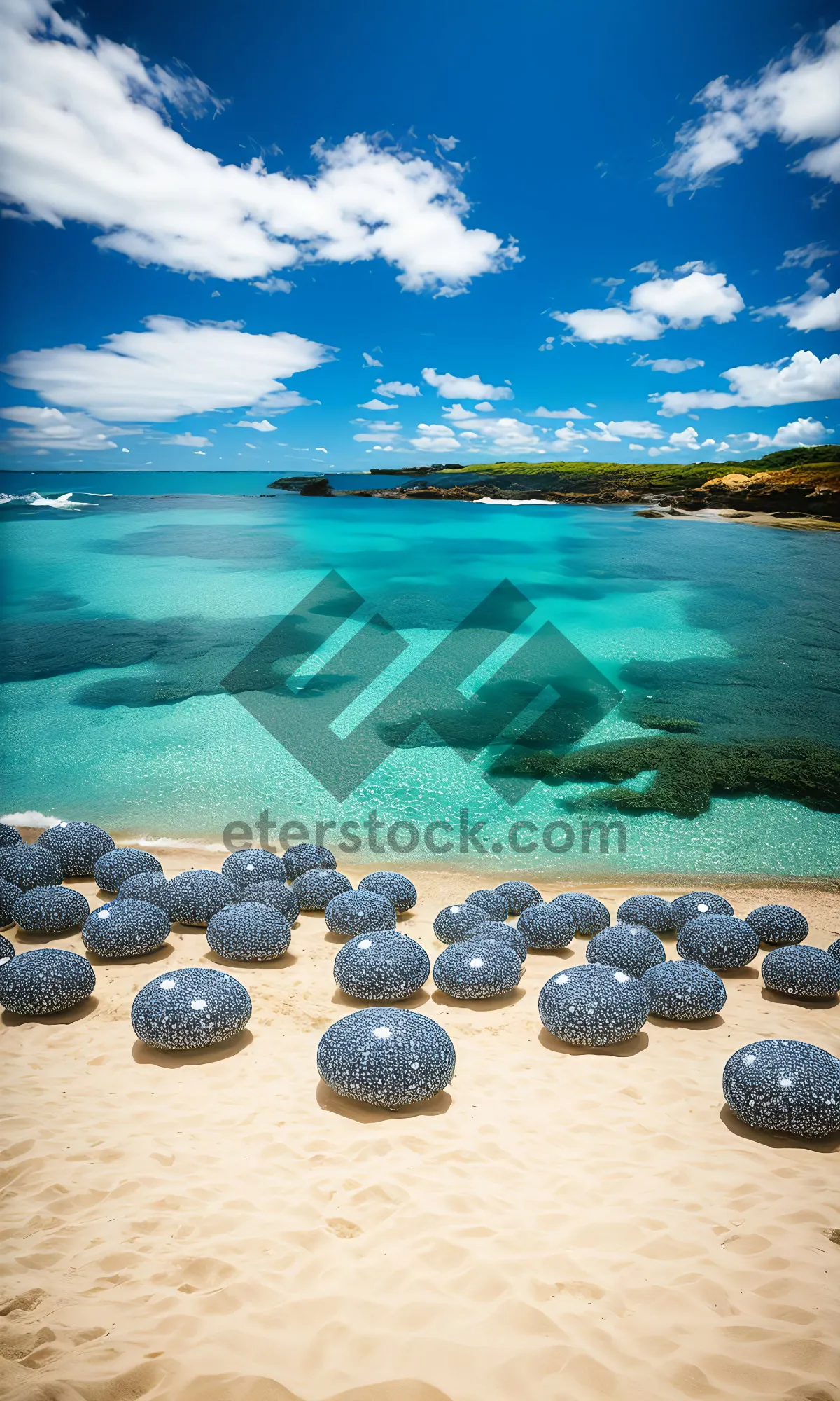 Picture of Fresh Blueberries on Beach with Sea Background