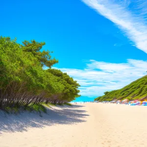 Paradise Coast: Tranquil Turquoise Water and Palm Trees