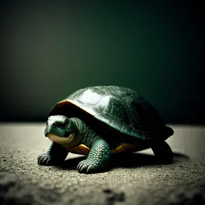 Majestic Reptilian Guardian: Shell-Clad Terrapin