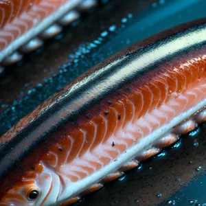 Underwater Feast: Sea Pen and Fish Coexisting with Feather Star