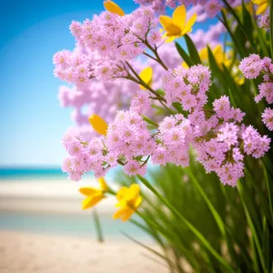 Pink Crape Myrtle Summer Blossom Bouquet