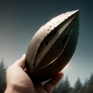Rugby Ball - Game Equipment