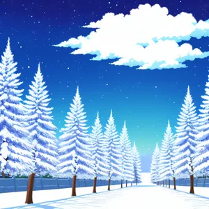 Winter Wonderland: Serene Evergreen Forest in Snow