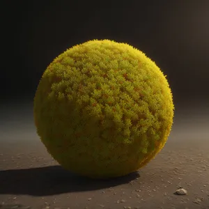 Juicy Citrus Tennis Ball for Healthy Sport