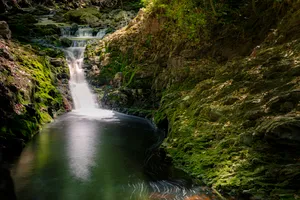 Serene waterfall cascading over smooth rocks in forest