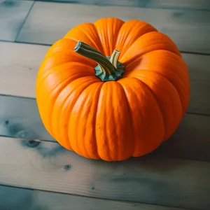 Colorful Autumn Harvest Pumpkin: Vibrant Seasonal Decor