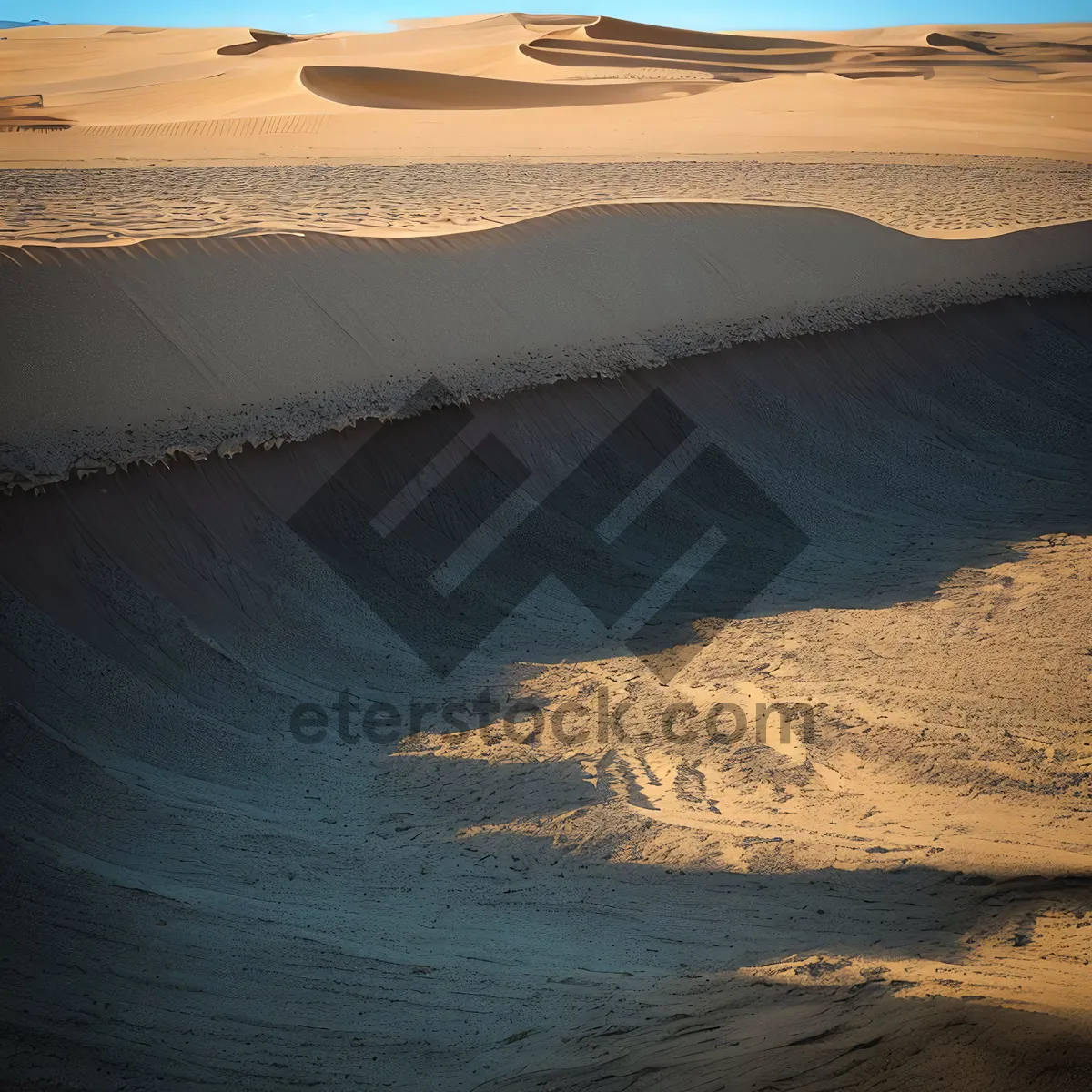 Picture of Serene Dune Landscape by the Ocean