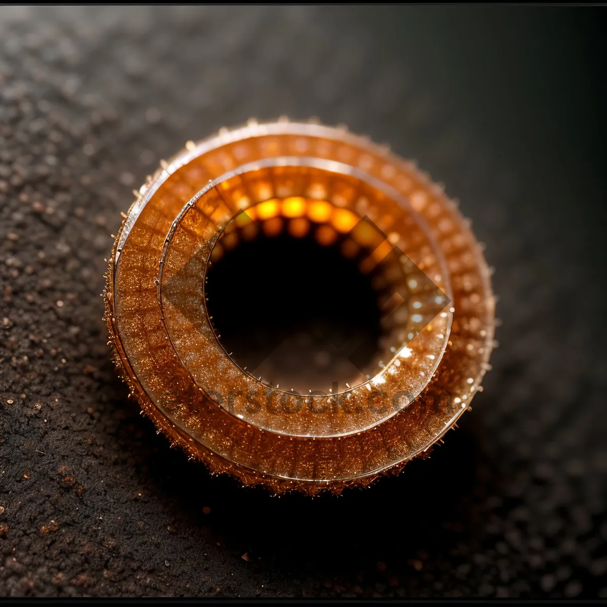 Picture of Coiled Arthropod Eye in Close-up Structure