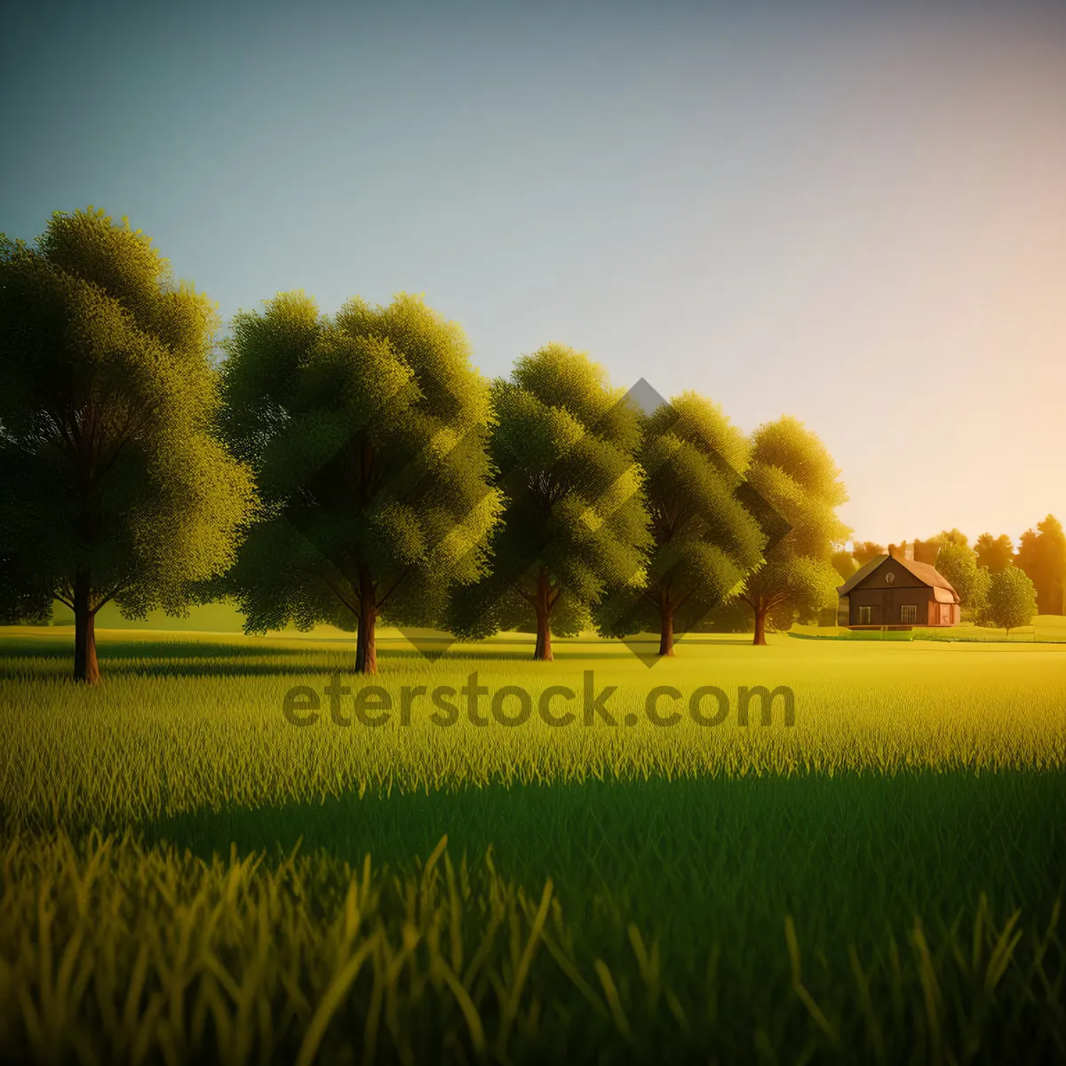 Picture of Golden Rapeseed Field Shining under Blue Sky