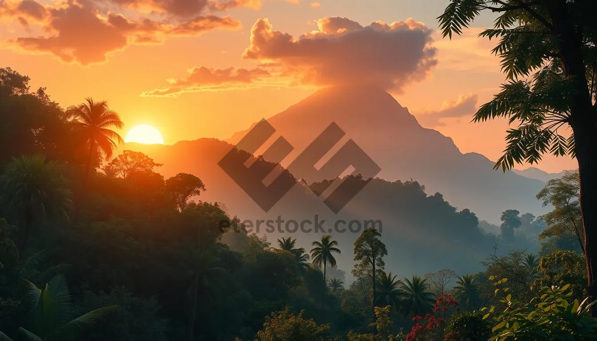 Picture of scenic orange sunset over mountains and trees