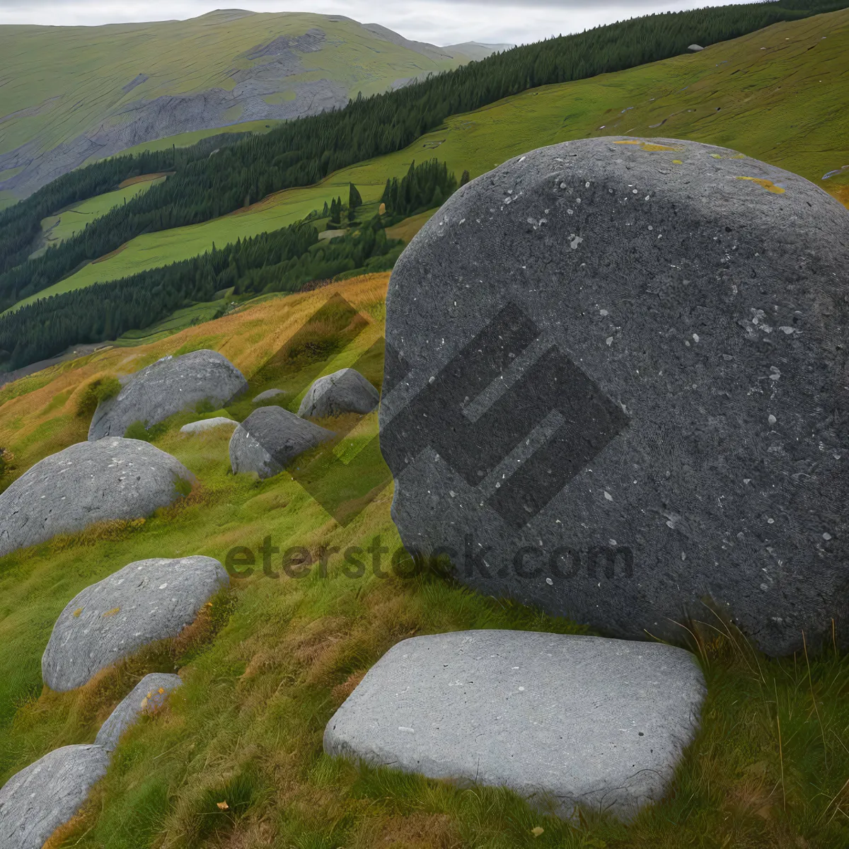 Picture of Golf Ball on Stone Memorial in Grass