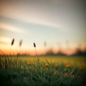 Sunny skies over picturesque countryside farm