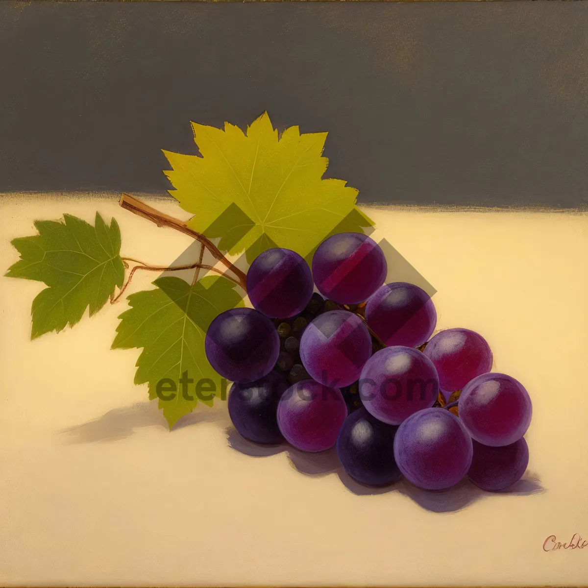 Picture of Juicy Purple Grape Bunch on Vine in Vineyard