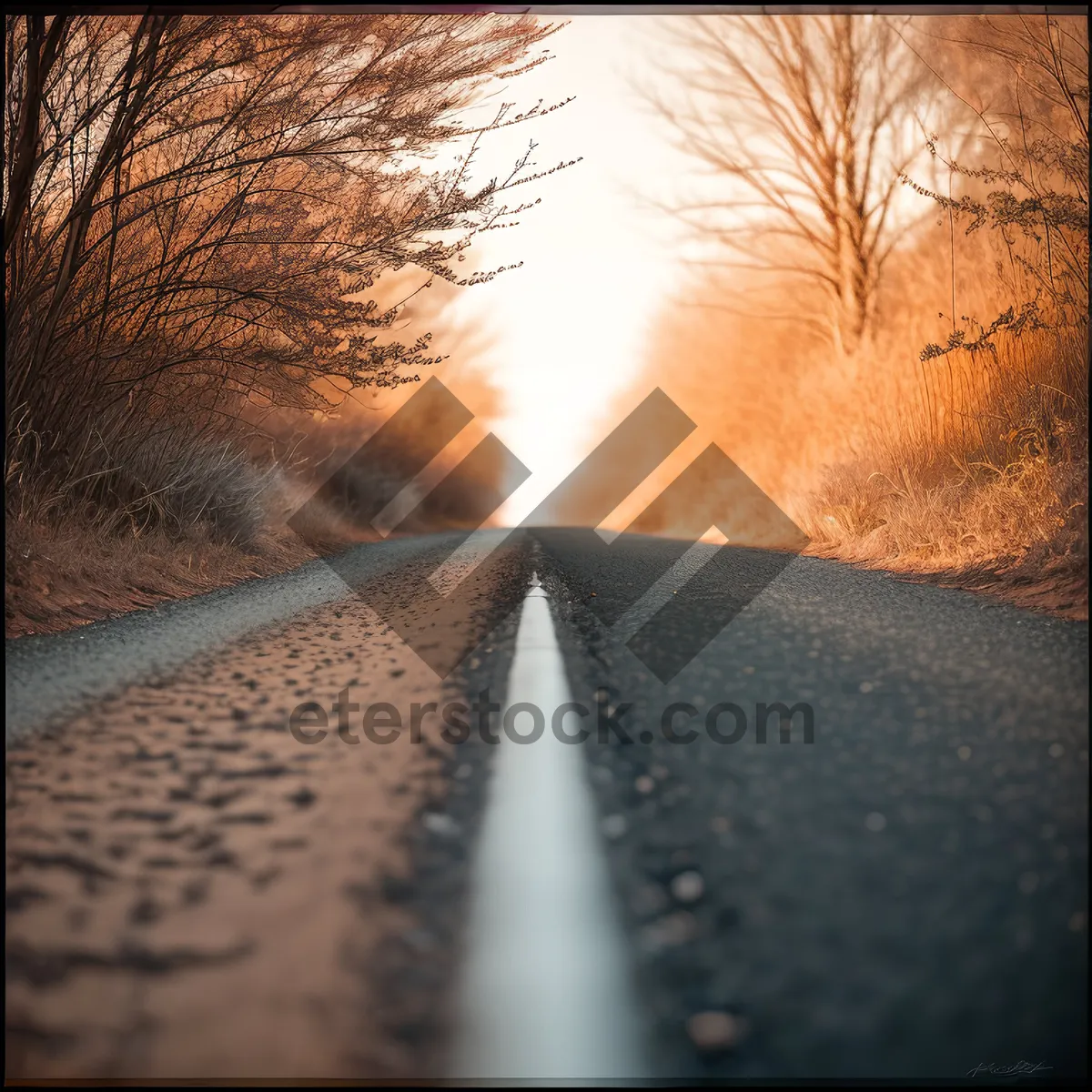 Picture of Sundown Journey: Asphalt Road Through Tunnel of Sky