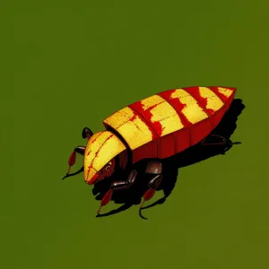 Colorful Leaf Beetle on Bright Yellow Flower