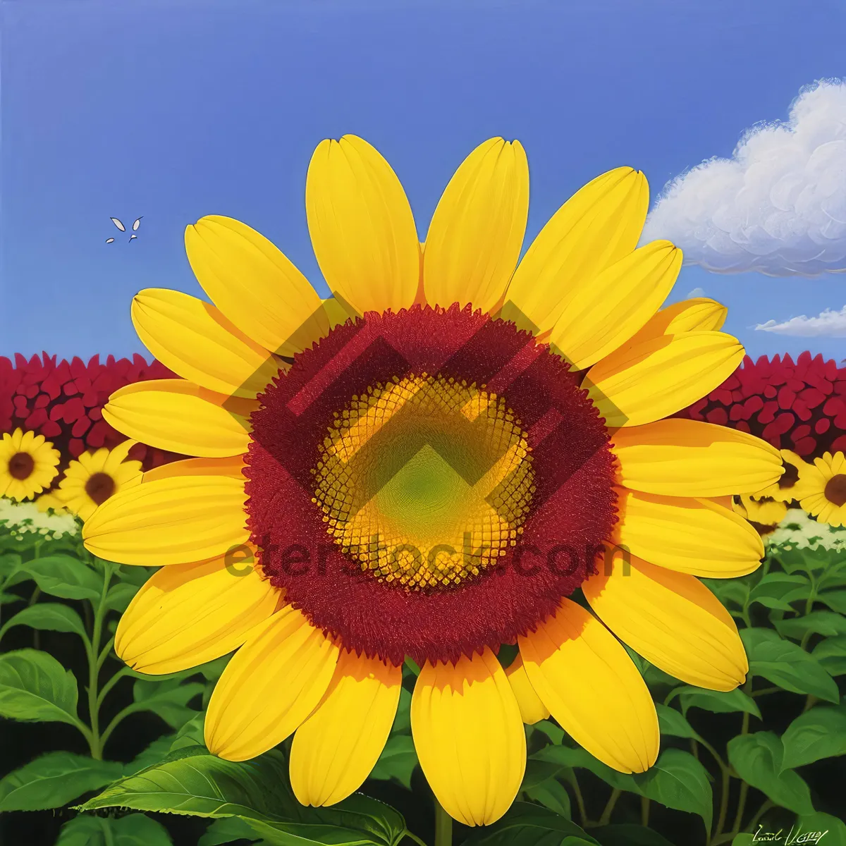 Picture of Vibrant Sunflower Blossom in a Bright Field