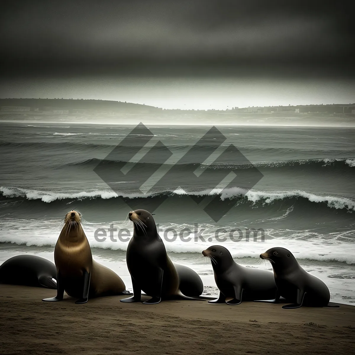 Picture of Playful marine wildlife on sandy beach