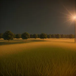 Vibrant countryside with golden wheat fields under cloudy sky